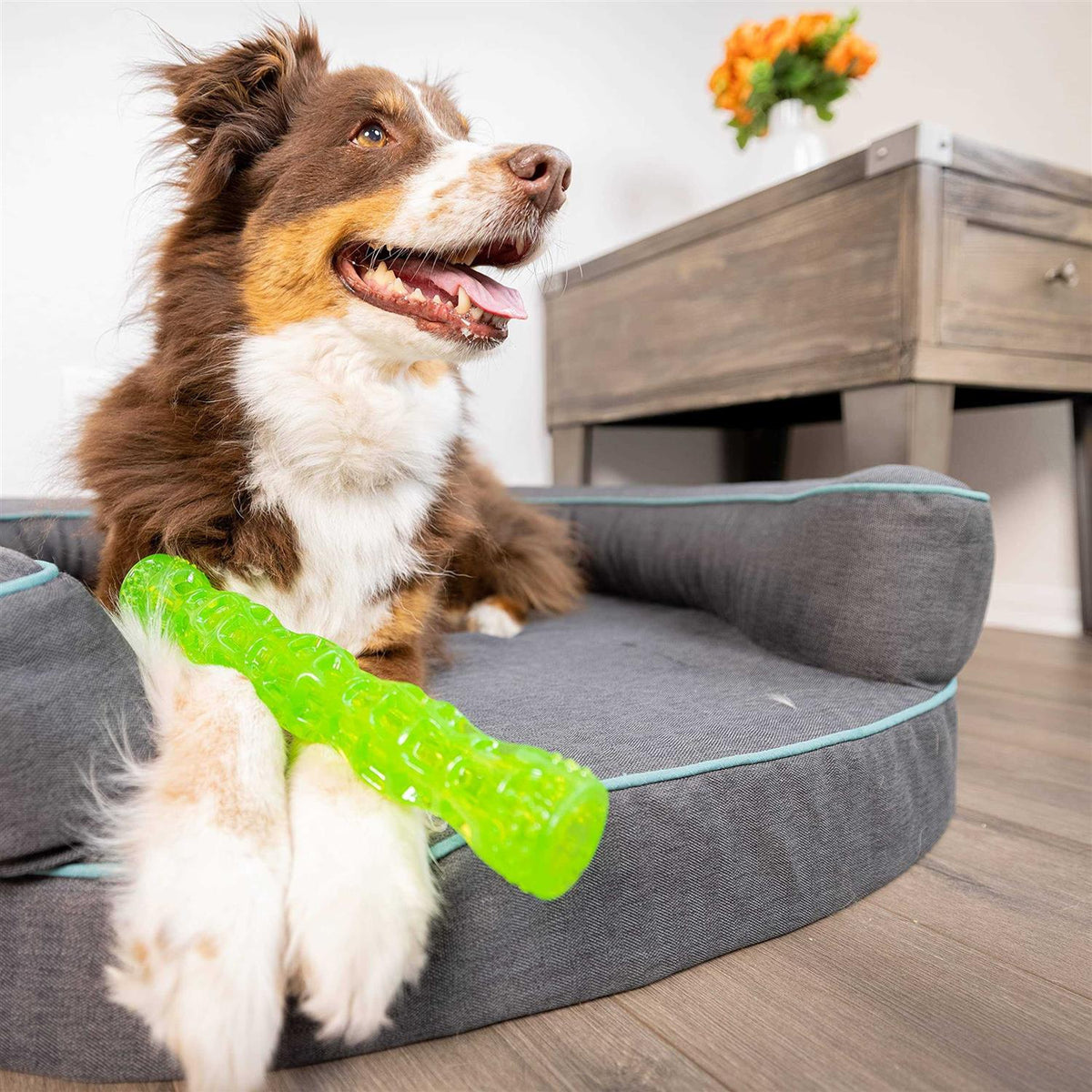 Dog Toy Stick P149