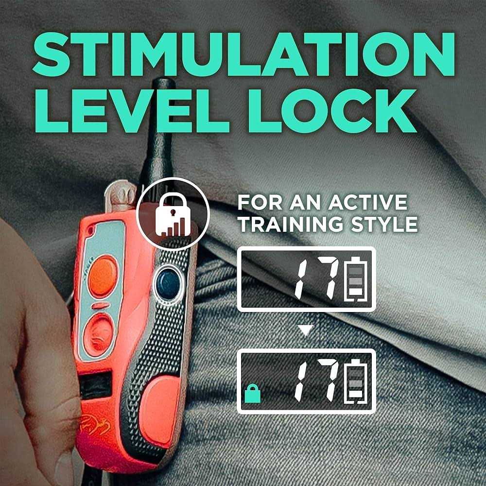 Waterproof Remote Dog Training E-Collar A855276