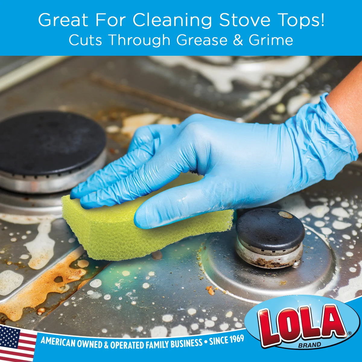 Multi-Use Cleaning Sponge, 9 CT Y714