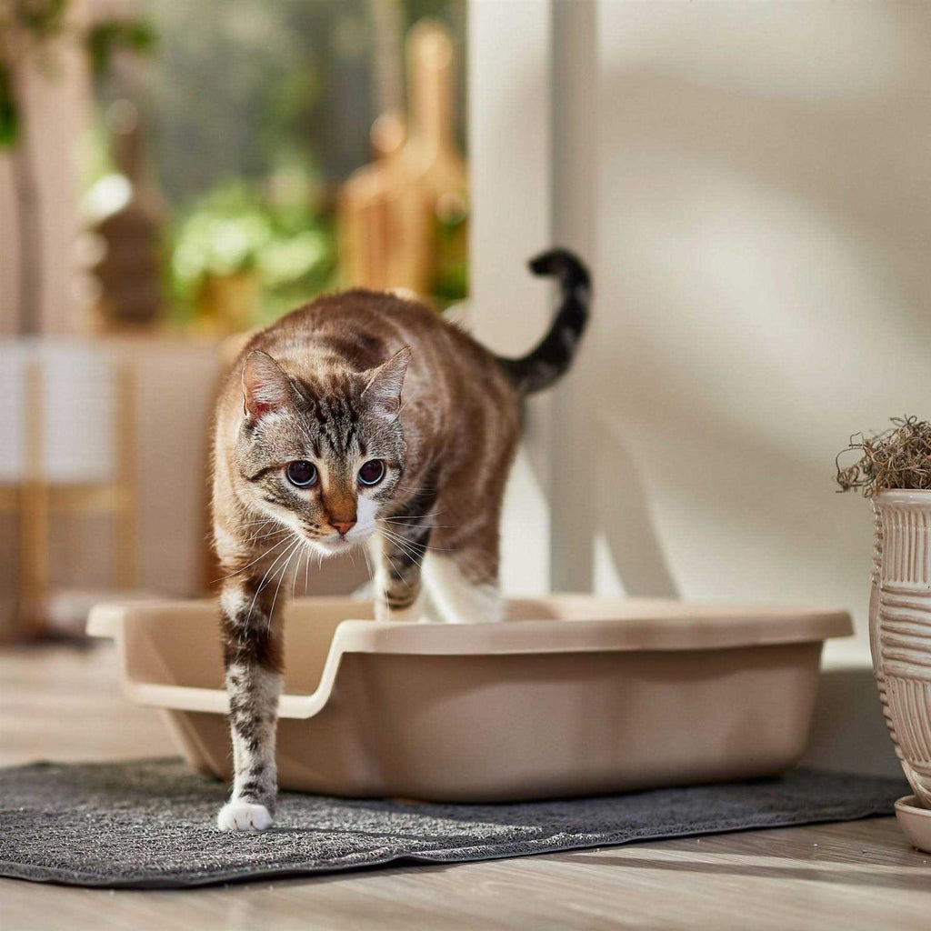 Senior Cat Litter Box G379513