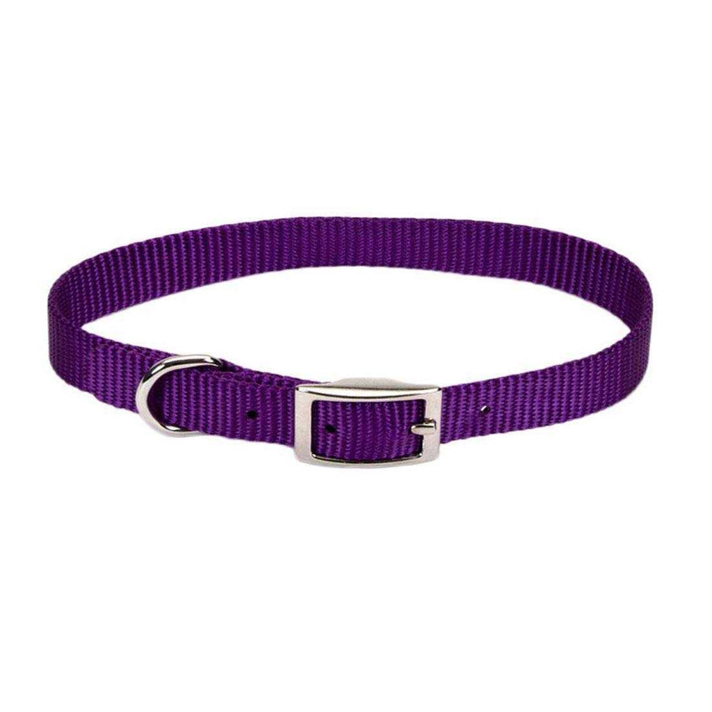 Nylon Pet Collar W3001