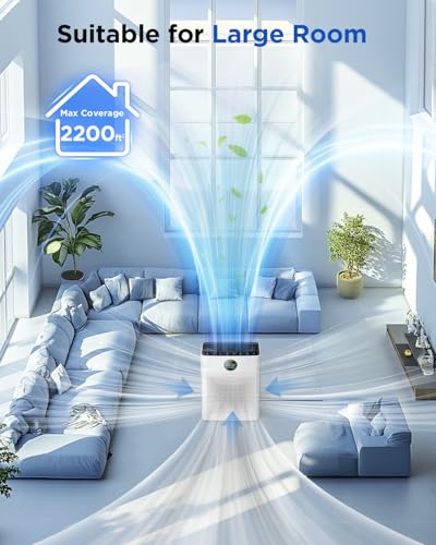 Air Purifier with Washable Filter, PM 2.5 Display C21704