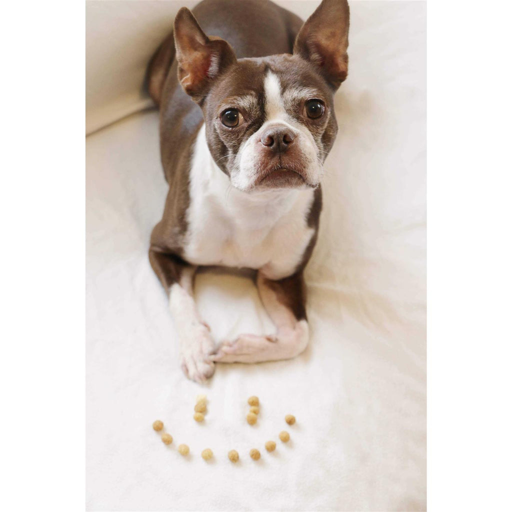 Protein Puffs Dog Treats F69632