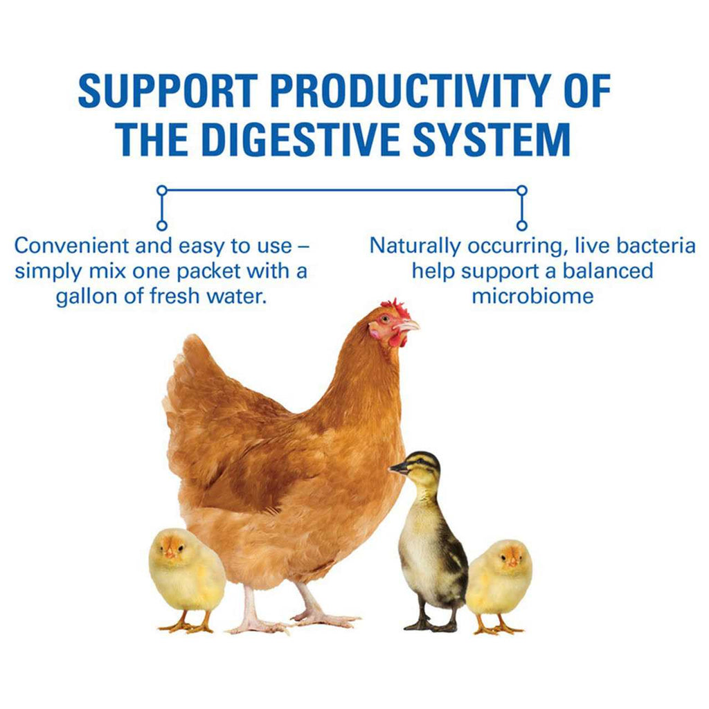 Probiotic Supplement U1168