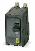 100 Amp 2 Pole Bolt-In Circuit Breaker A9930