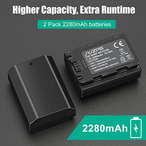 NP-FZ100 Battery and Charger 2 Pack E575745