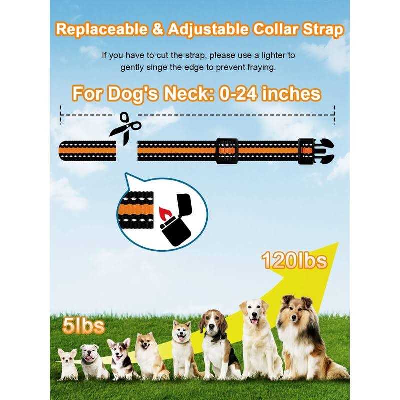 Dog Shock Collar 2 Dogs 3300 ft Waterproof Training Collar V4602