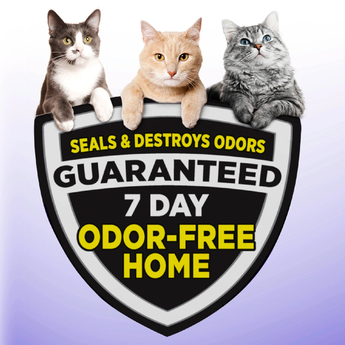 Multi-Cat Clumping Cat Litter 38 lbs X6933