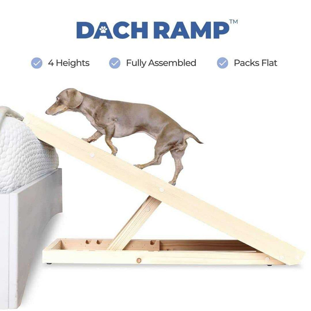 Dachshund Ramp C9310