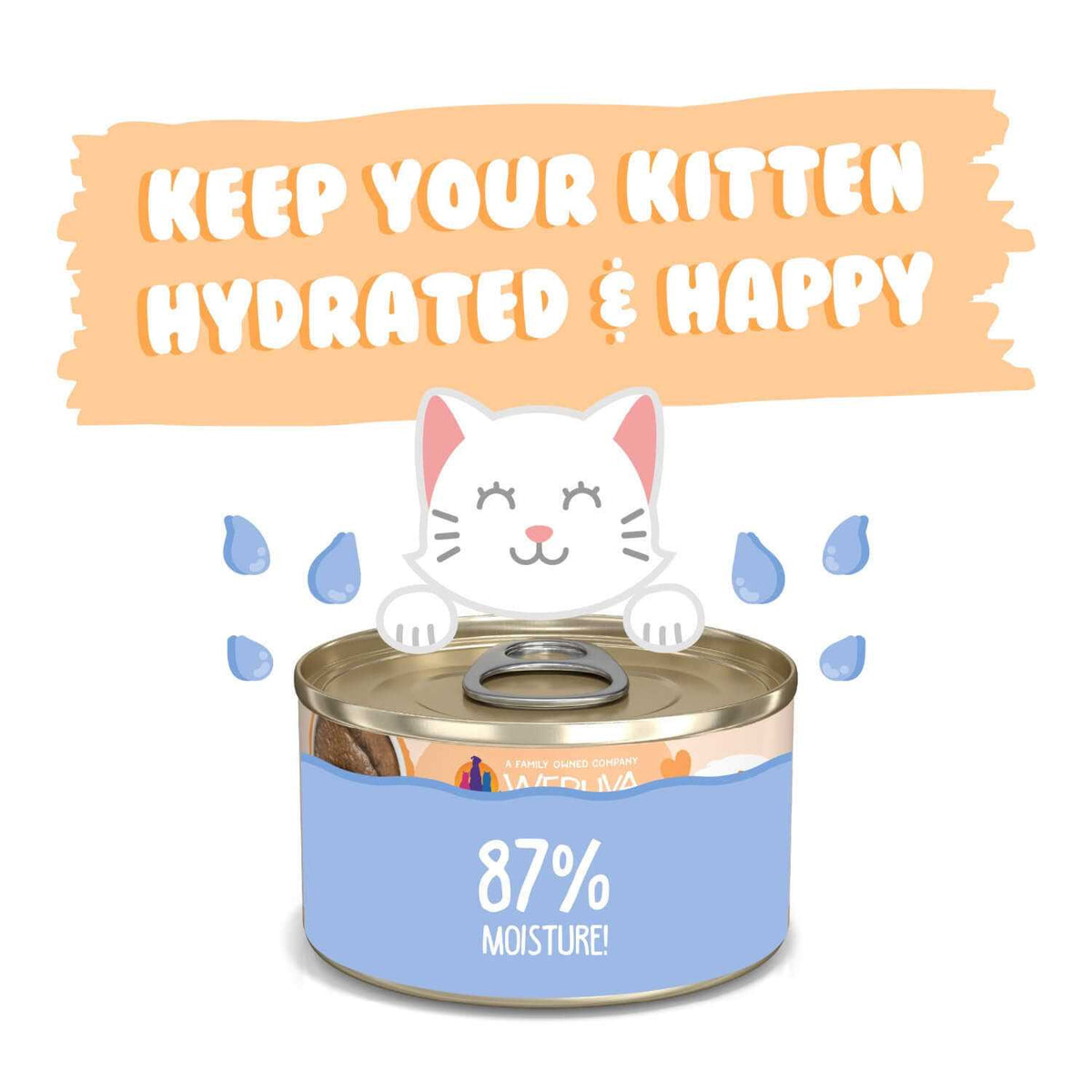 Tuna & Salmon Puree Cat Food N7172