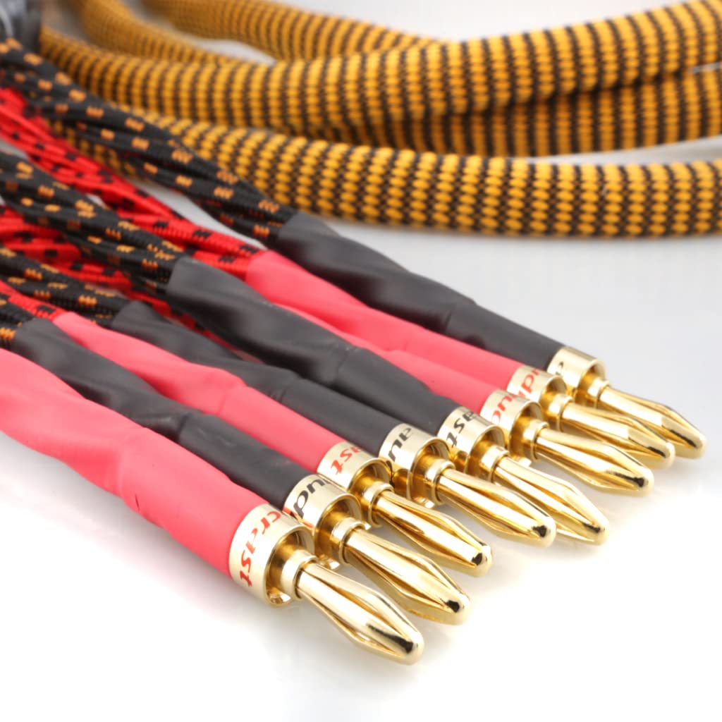 OFC Speaker Cable with 8 Banana Plugs, 9.89ft Nylon Braid Pack of 2 S1229