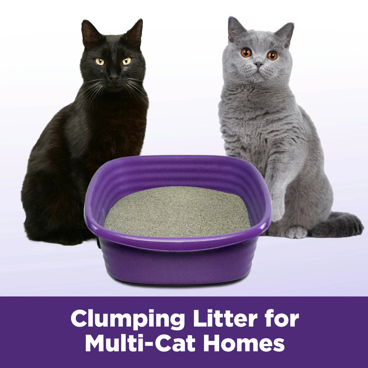Multi-Cat Clumping Cat Litter 38 lbs X6933