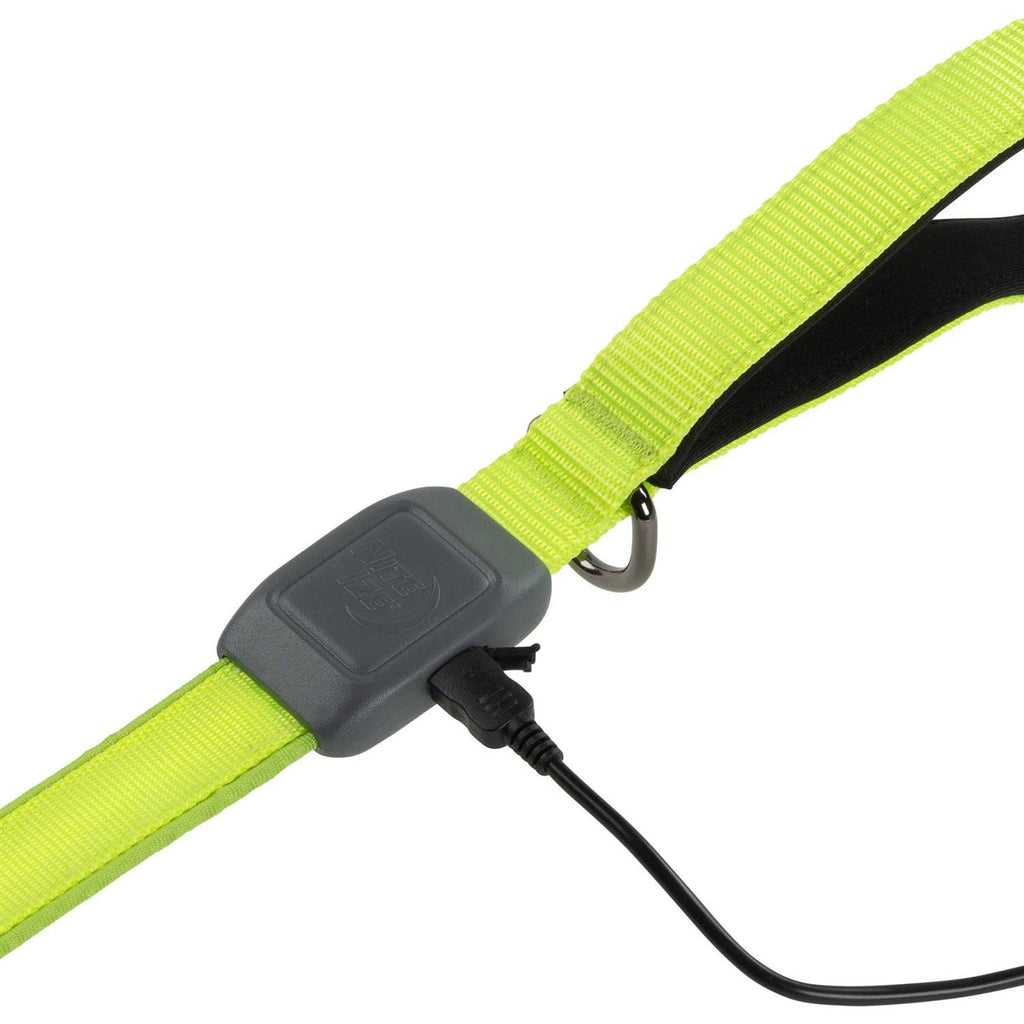 Rechargeable LED Leash W4293