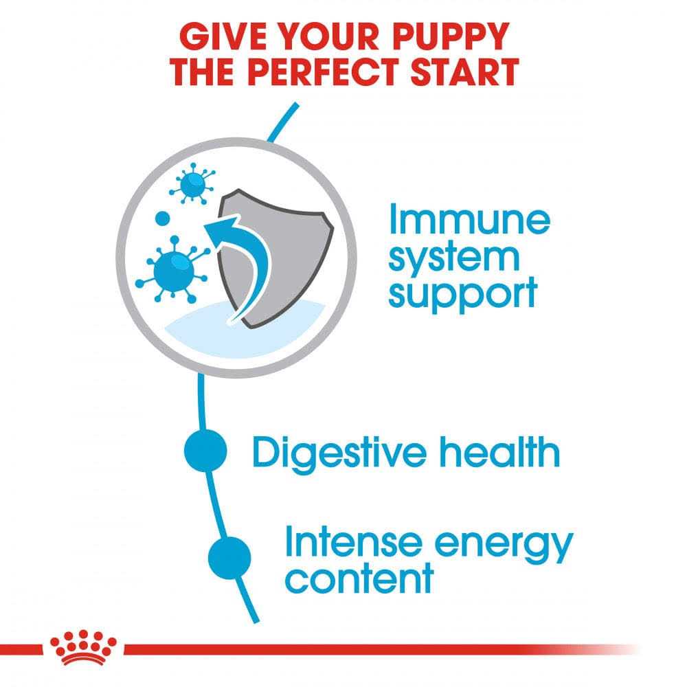 Small Puppy Dry Dog Food B2994