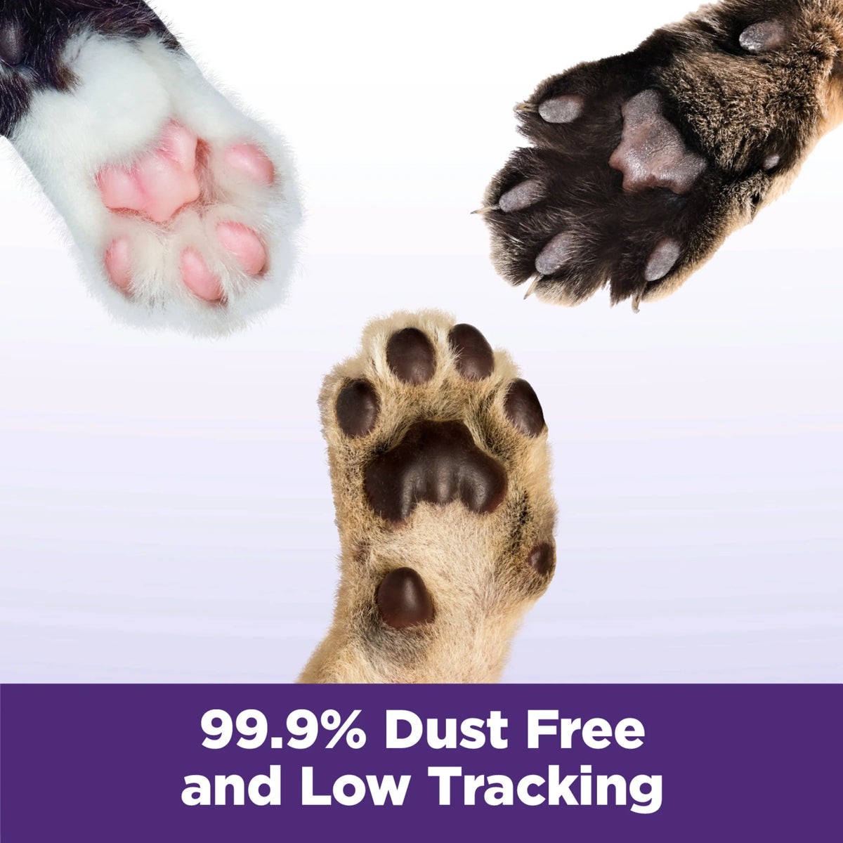 Multi-Cat Clumping Cat Litter 38 lbs X6933