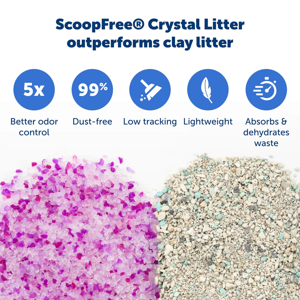 Lavender Scent Silica Crystals Cat Litter Trays 6-Pack T55981