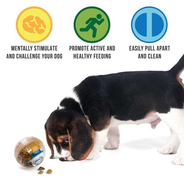 Dog Toy R9837