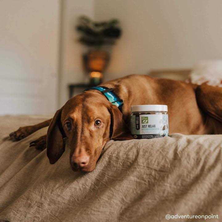 Herbal Calming Soft Chews Y760