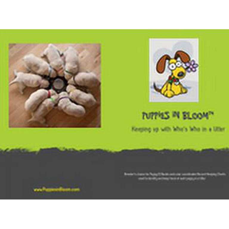 Puppy ID Bands B3084