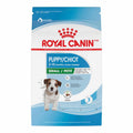 Small Puppy Dry Dog Food B2994