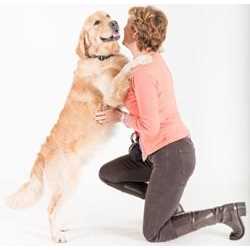 Tartar Control Dental Spray for Dogs Y12413