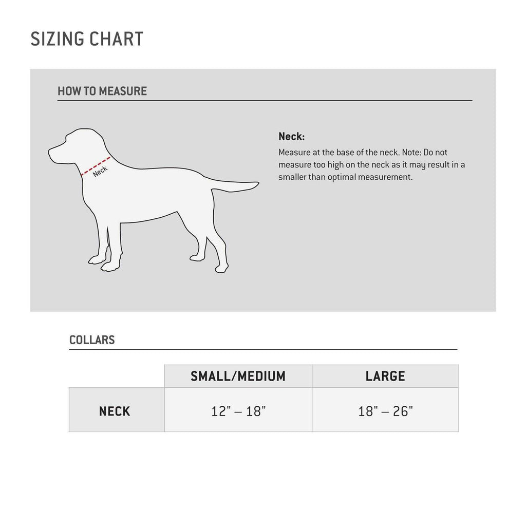 Dog Collar S61204