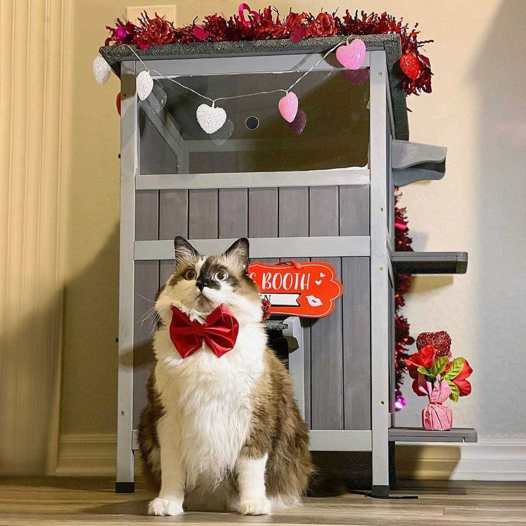 Two Tier Wooden Cat House with Waterproof Roof V9909