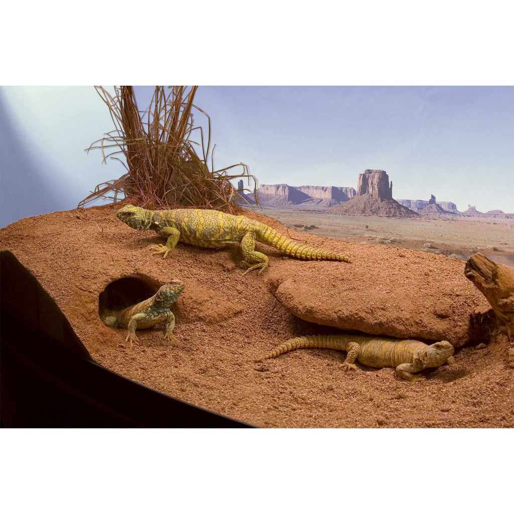 Clay Burrowing Substrate U8637