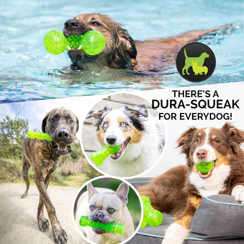 Dog Toy Stick P149