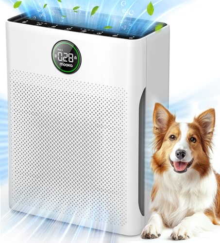 Air Purifier with Washable Filter, PM 2.5 Display C21704