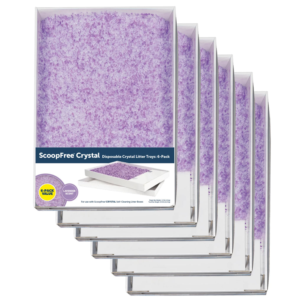 Lavender Scent Silica Crystals Cat Litter Trays 6-Pack T55981