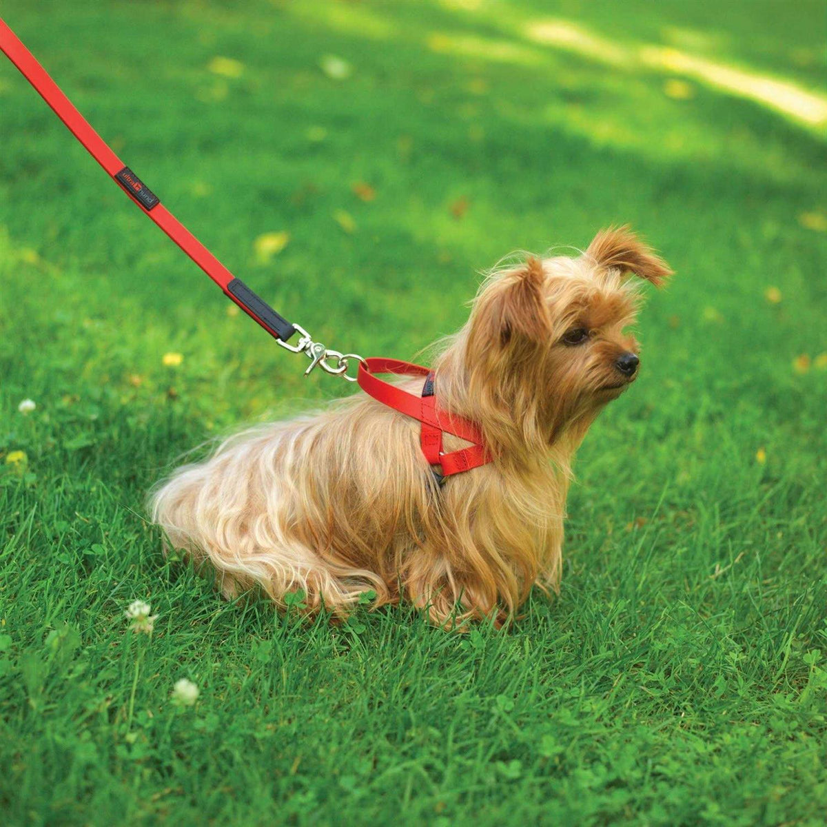 Pet Harness F48899