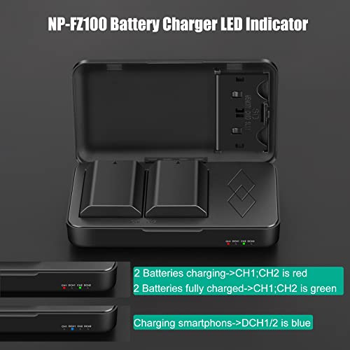 NP-FZ100 Battery and Charger 2 Pack E575745