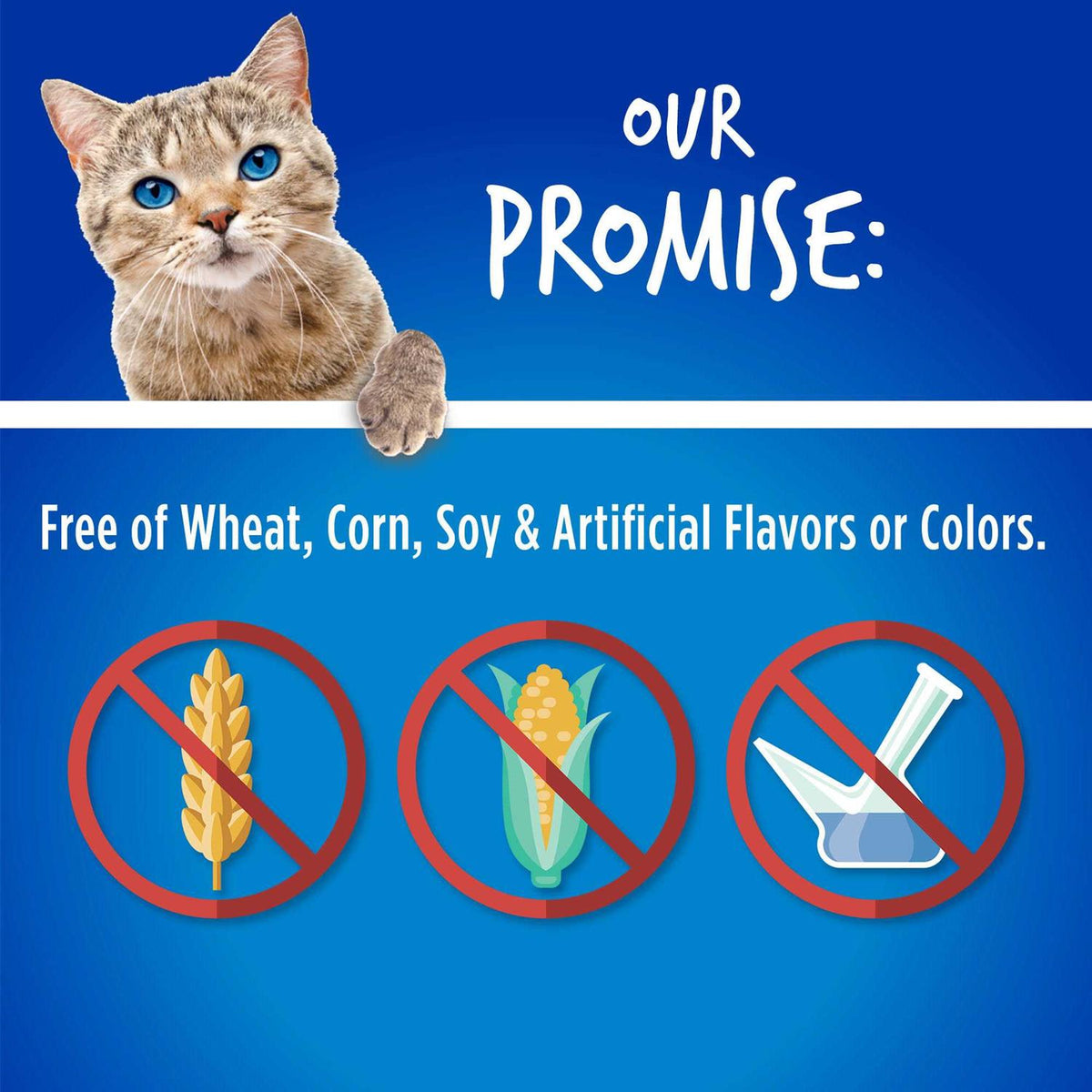Chicken Blueberry Cat Treats V2243