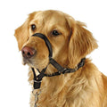 Dog Head Collar No Pull Training Tool I910627