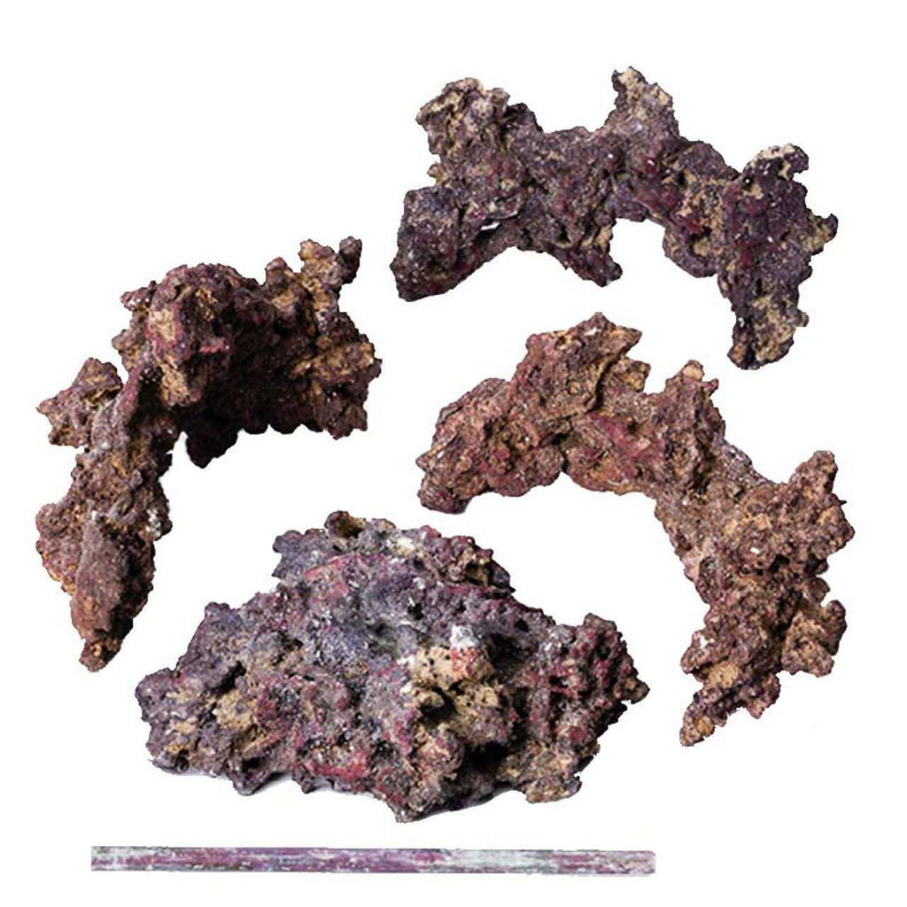 LifeRock Reef Tree with Arches E869