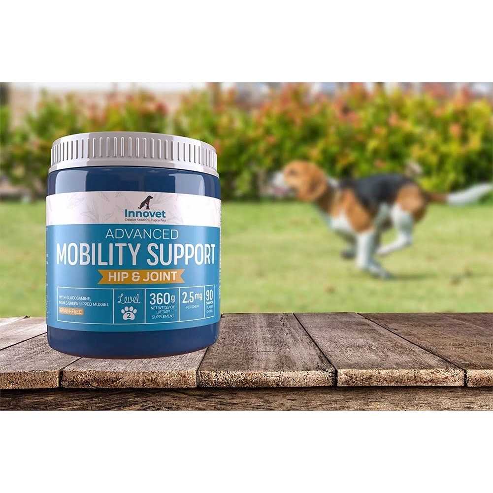 Hemp Hip & Joint Supplement for Dogs W99340
