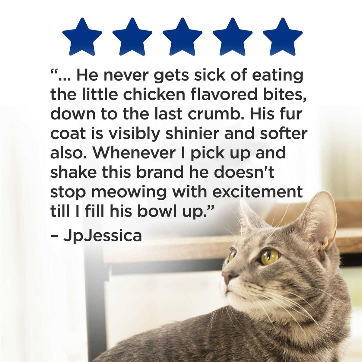 Complete Dry Cat Food X188835