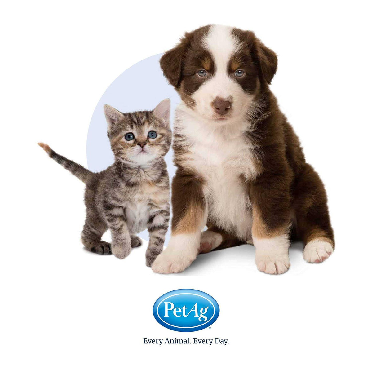 High Calorie Gel for Cats G646