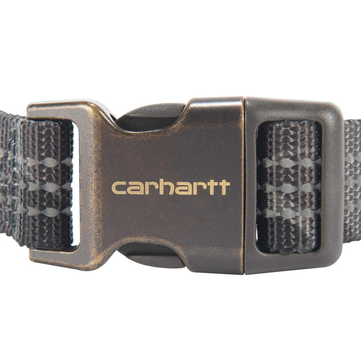 Dog Collar S61204