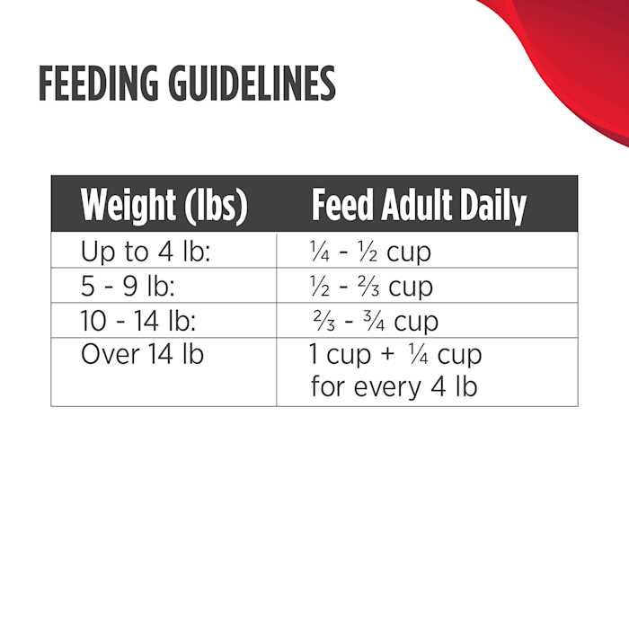 Grain Free Turkey Dry Cat Food K477143
