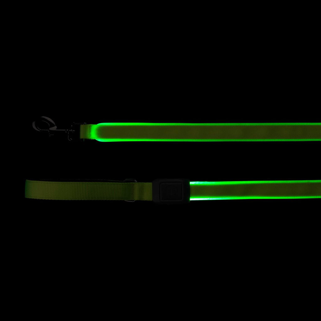 Rechargeable LED Leash W4293
