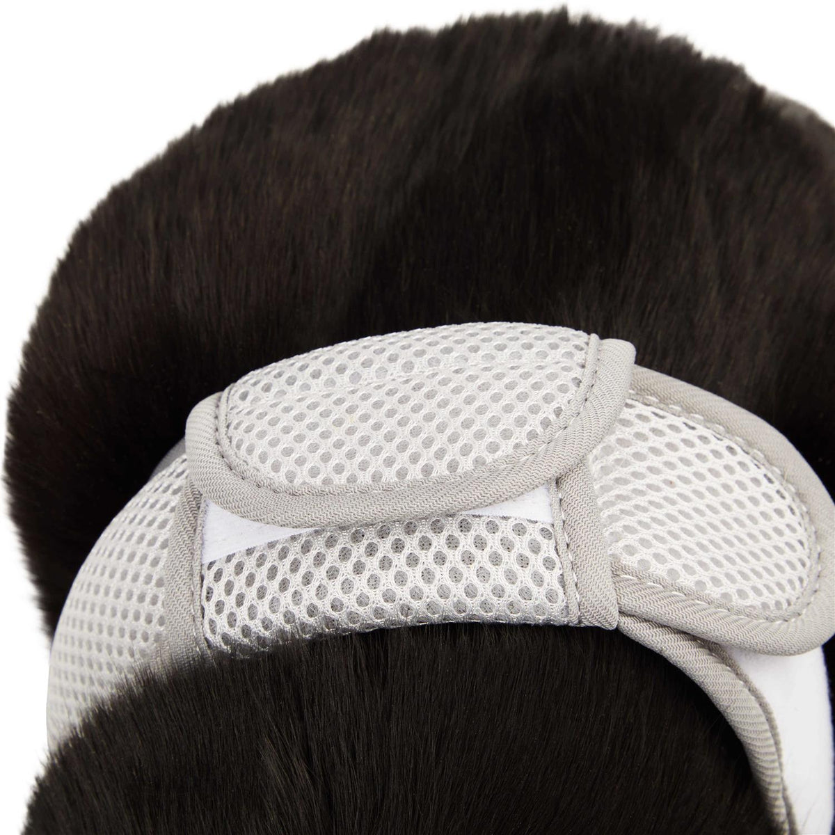 Gray Cat Harness F712