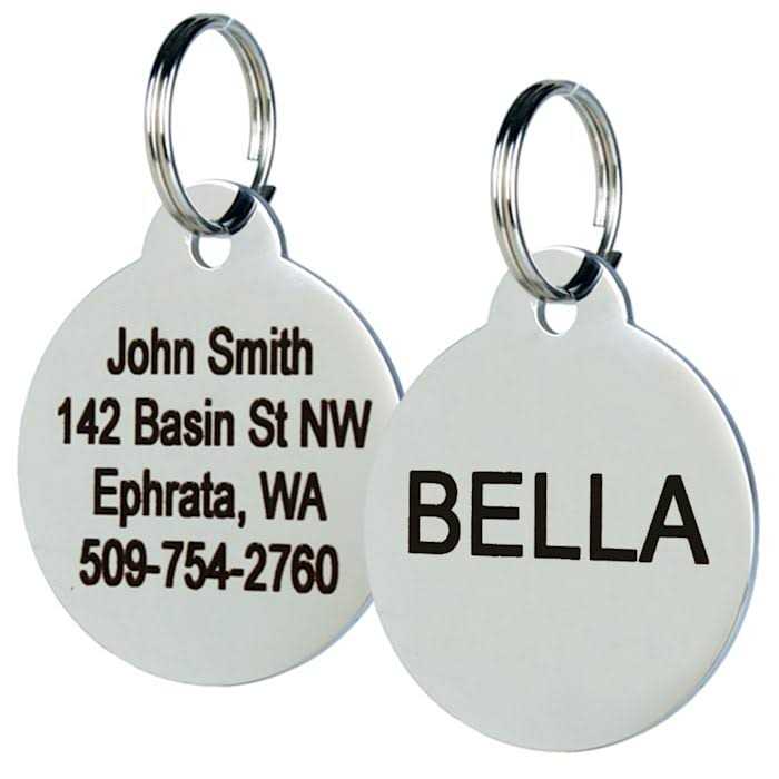 Stainless Steel Personalized Dog & Cat Tag S907