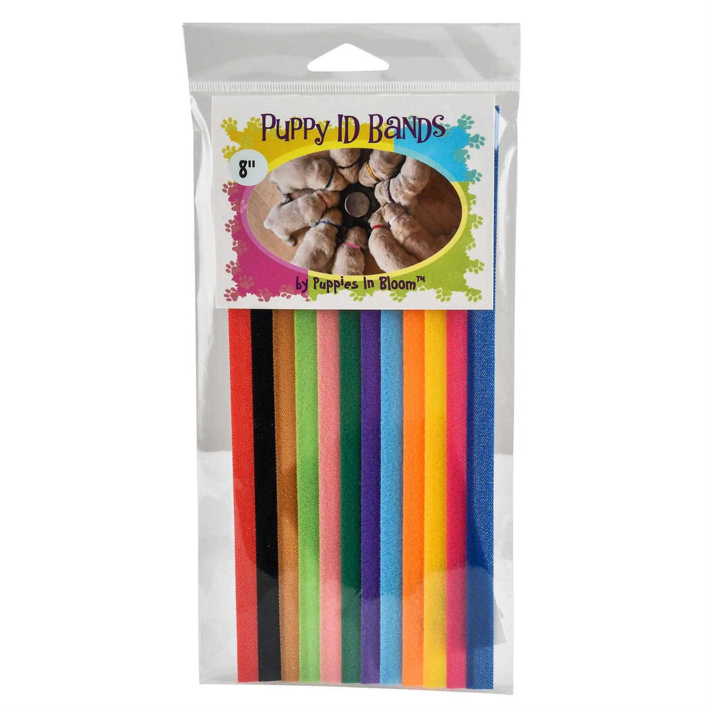 Puppy ID Bands B3084