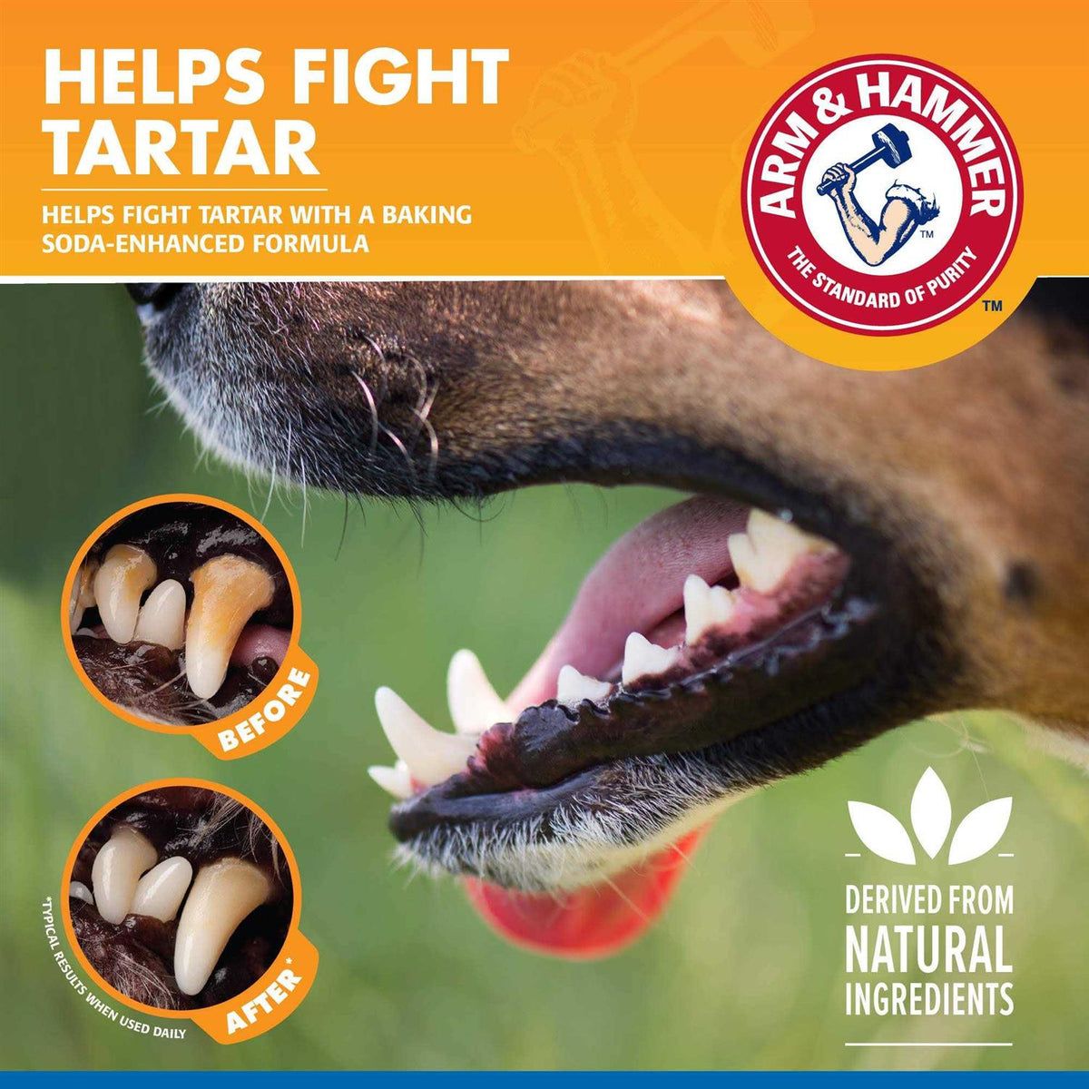 Tartar Control Dental Spray for Dogs Y12413