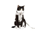 Gray Cat Harness F712