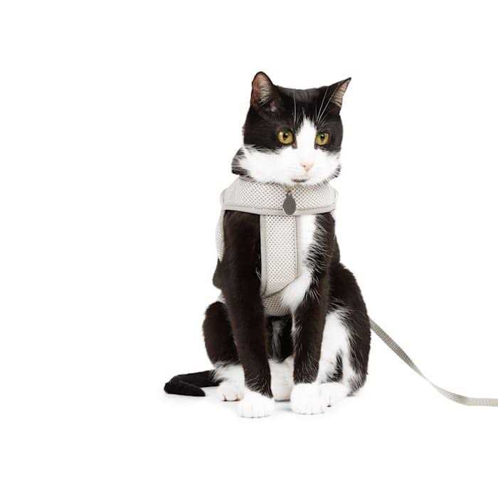 Gray Cat Harness F712