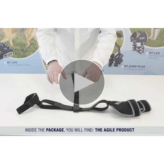 Soft Dog Knee Support D204