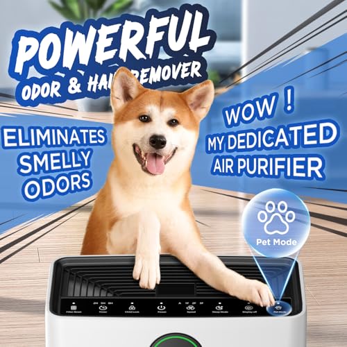 Air Purifier with Washable Filter, PM 2.5 Display C21704